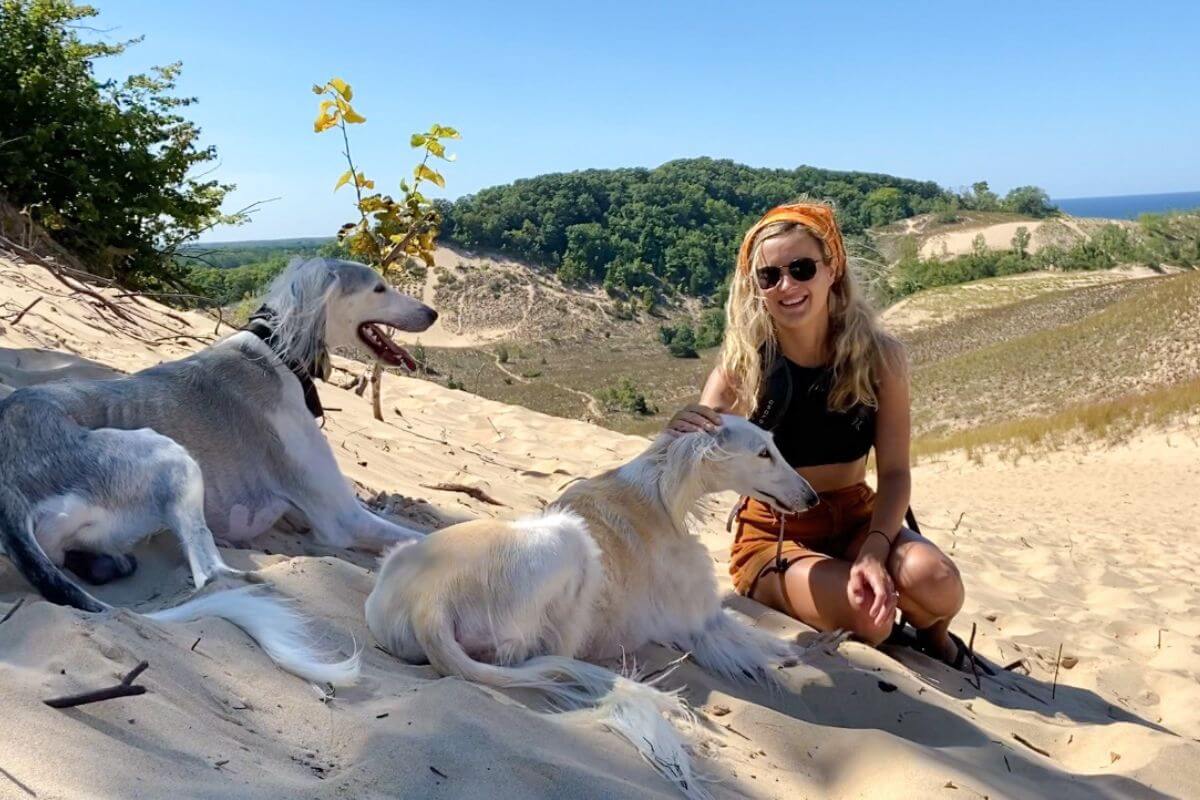  traveling in a van with dogs