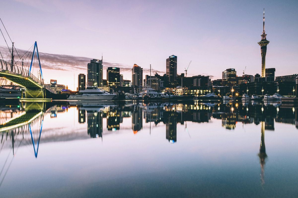 Cityscape photo during daytime