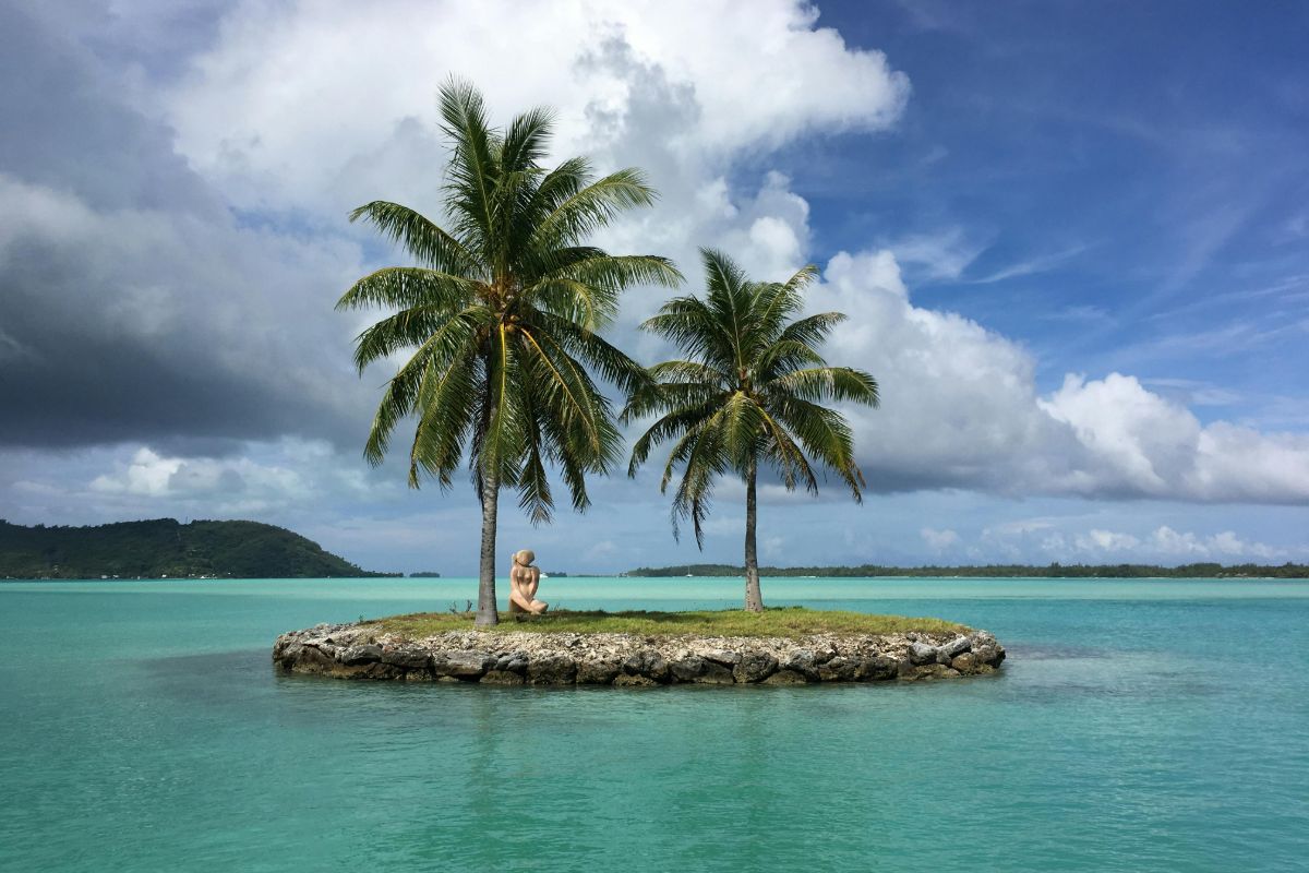 Coconut trees planted on an island