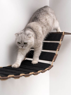 Cat Wall Bridges