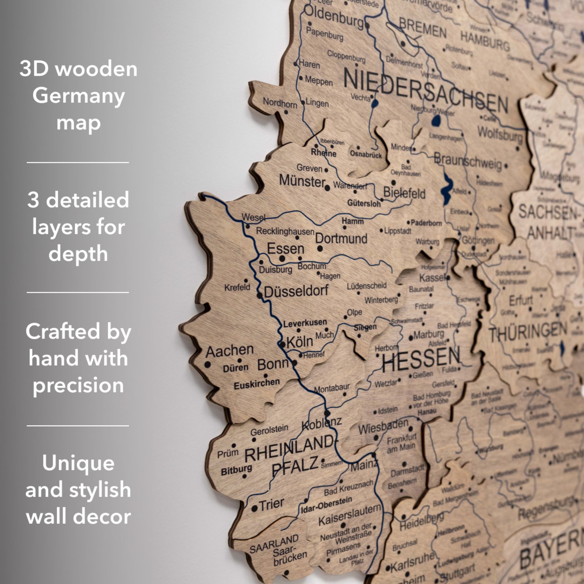 3D Germany Wooden Map Terra options