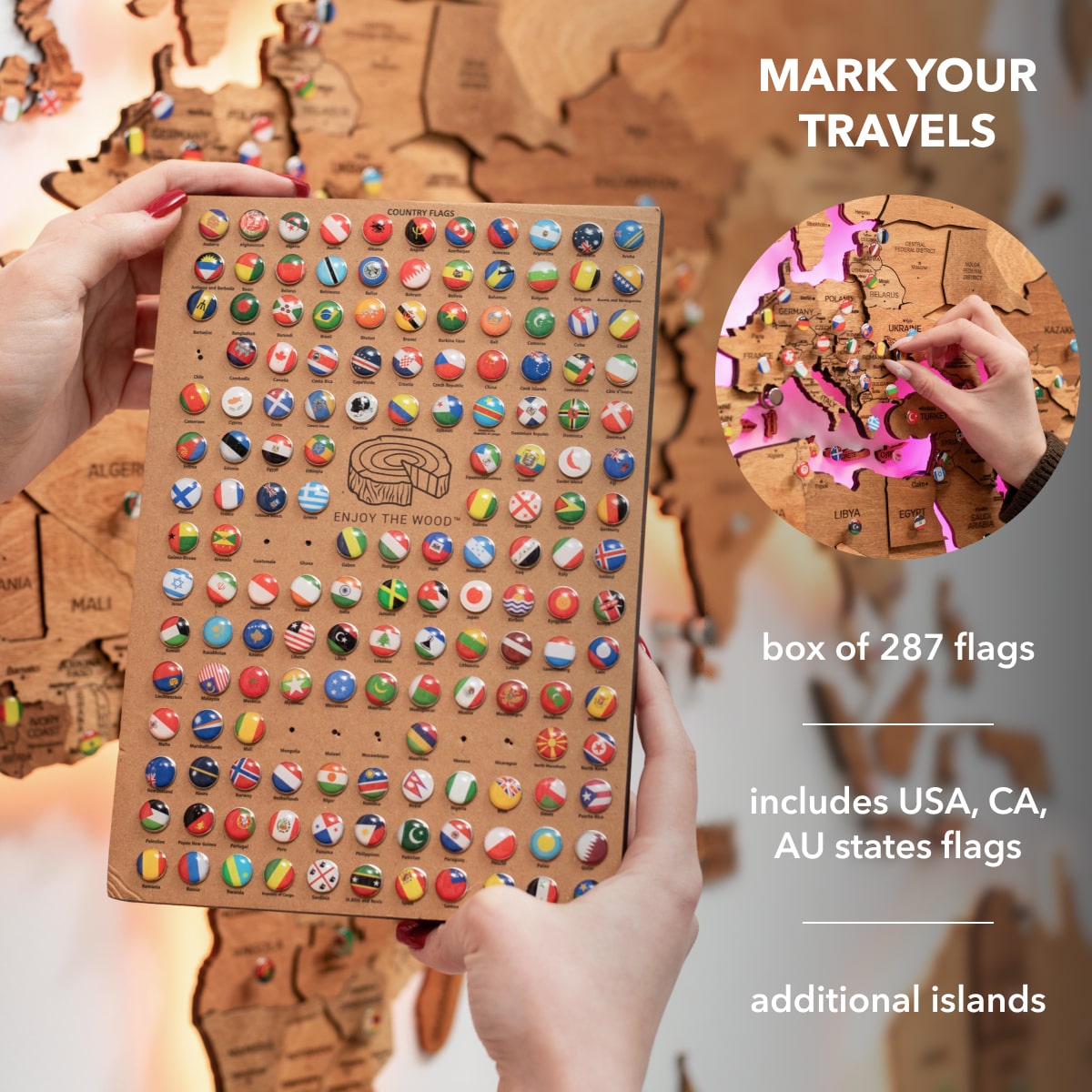 traveling map with pins