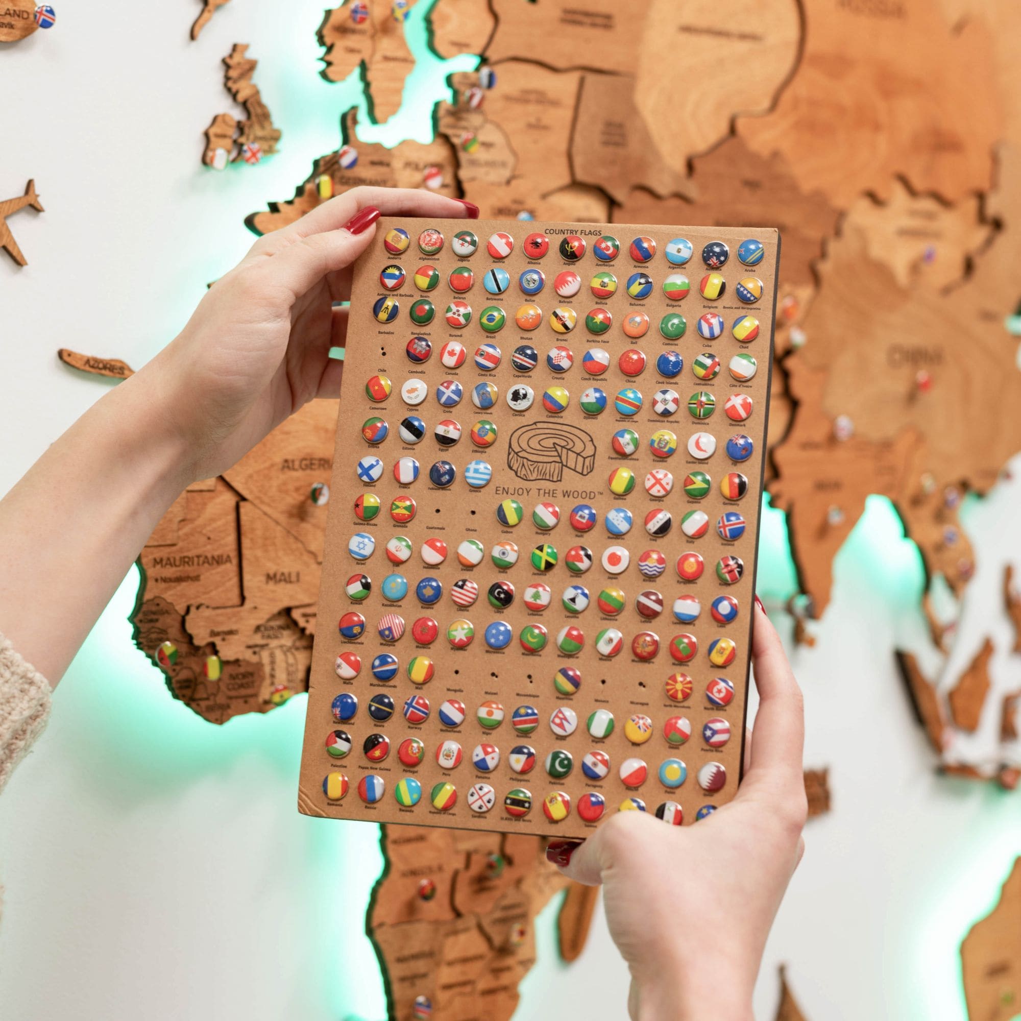 buy world map pinboard