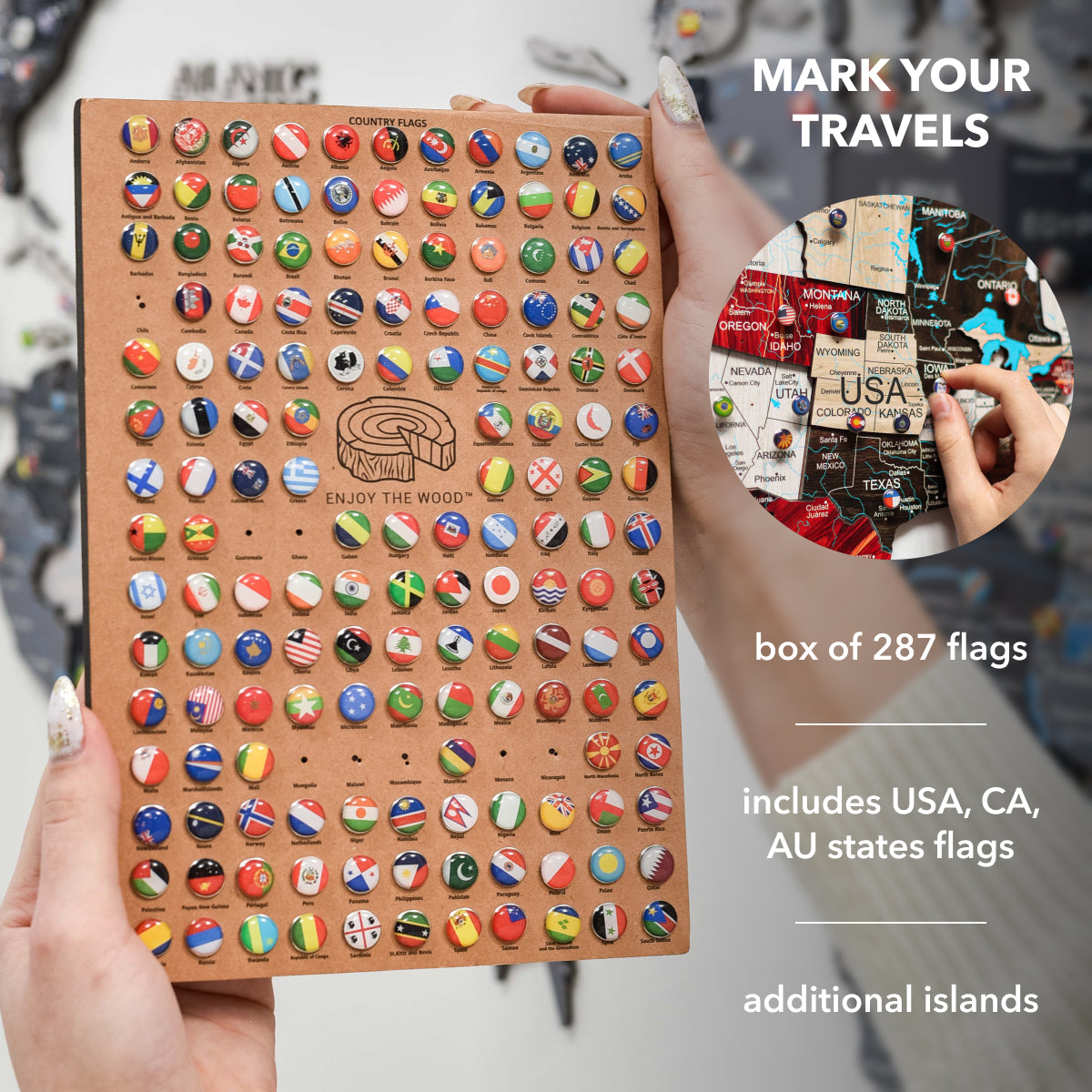 world travel map with push pins