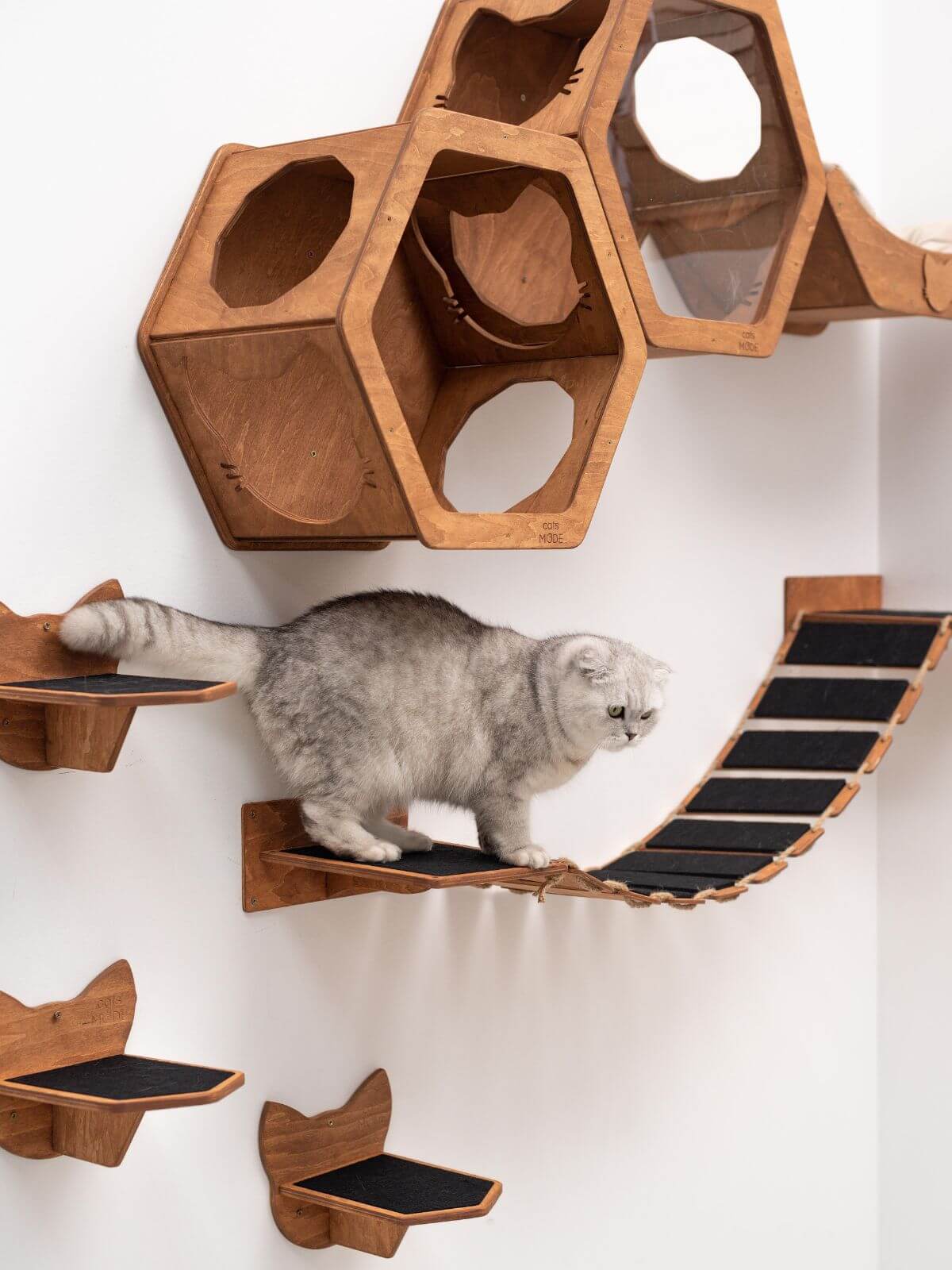 cat walkways on walls made from wood covered with black felt