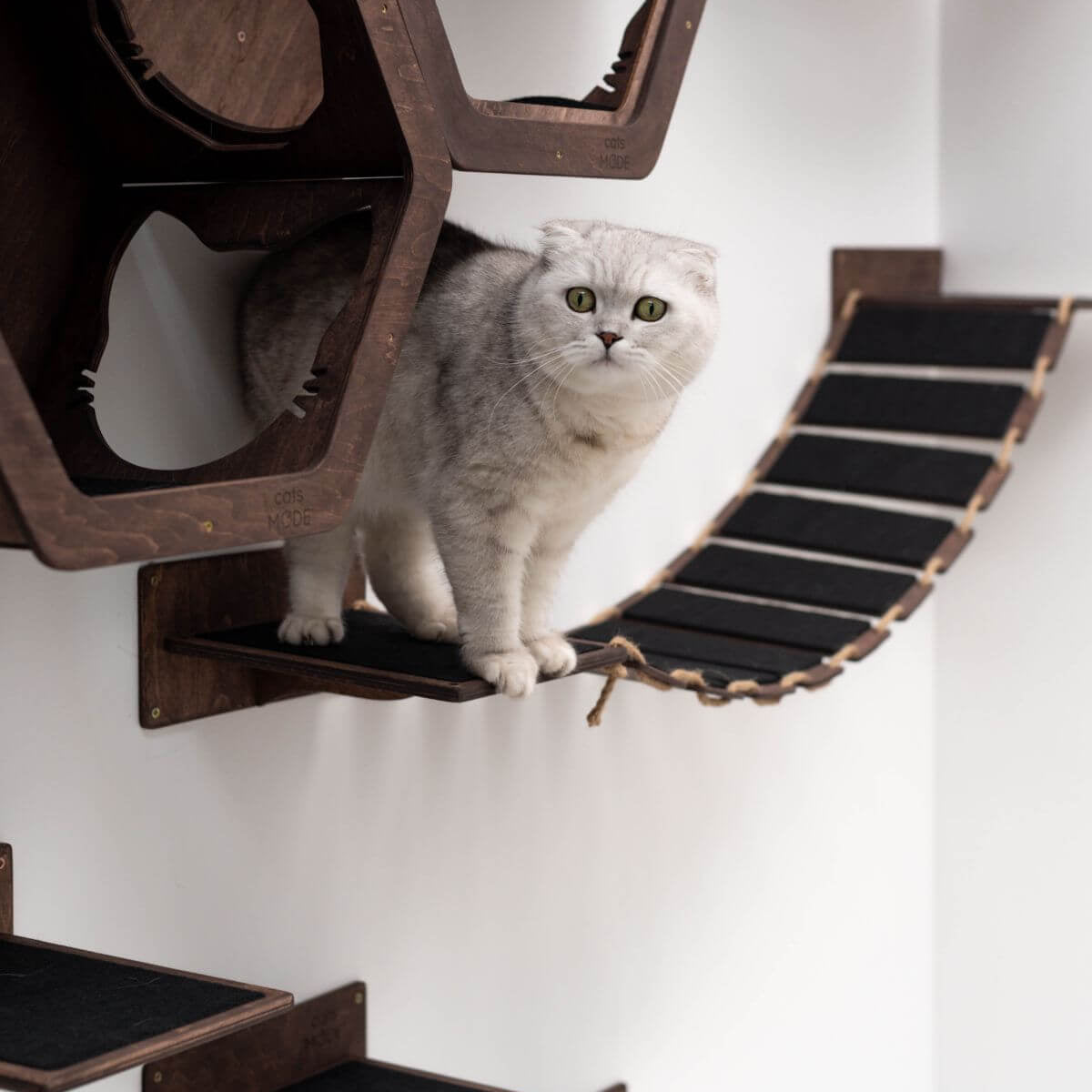 wall mounted cat bridge in dark walnut color covered with black felt