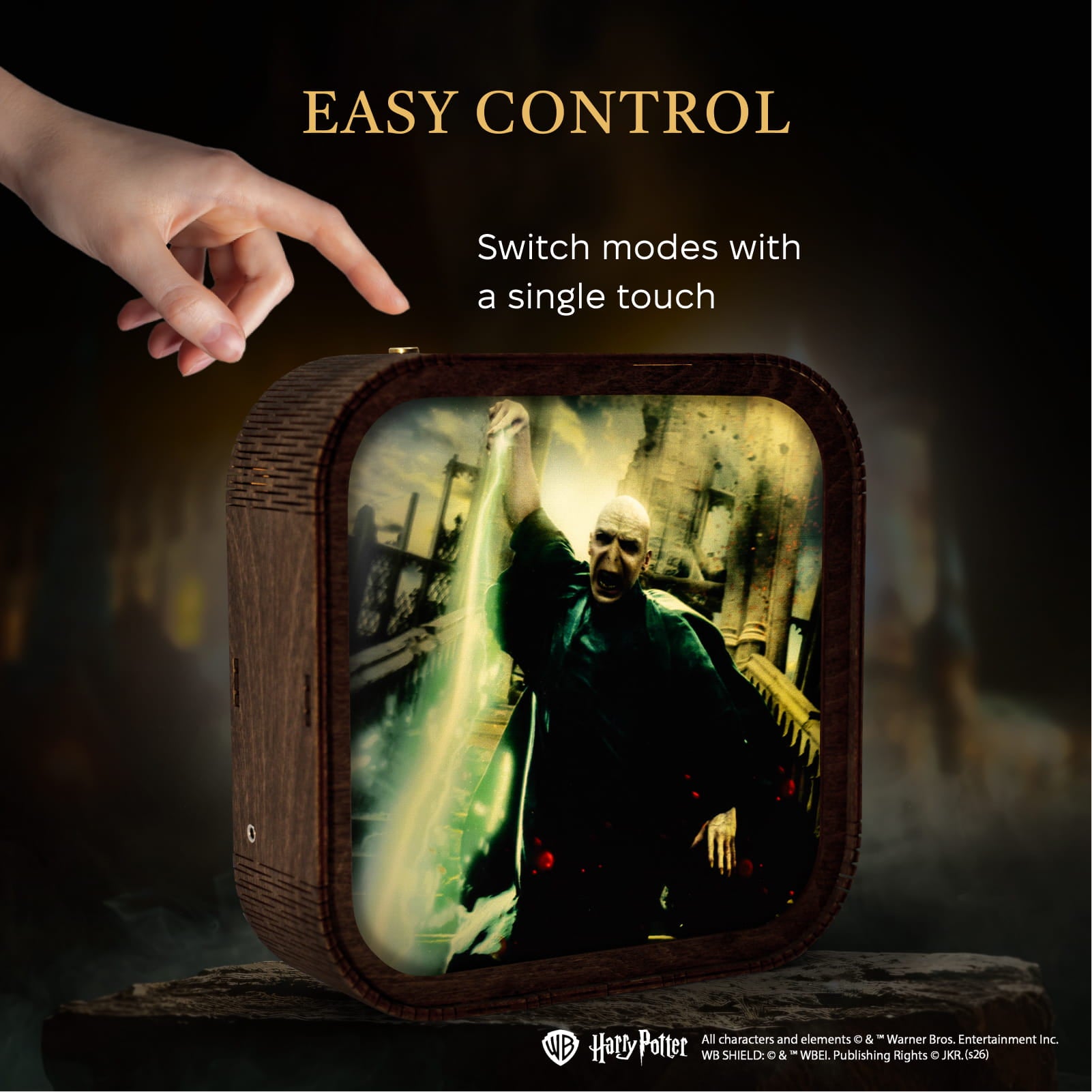 Wooden Acrylic Harry Potter Night Light - Forbidden Spell