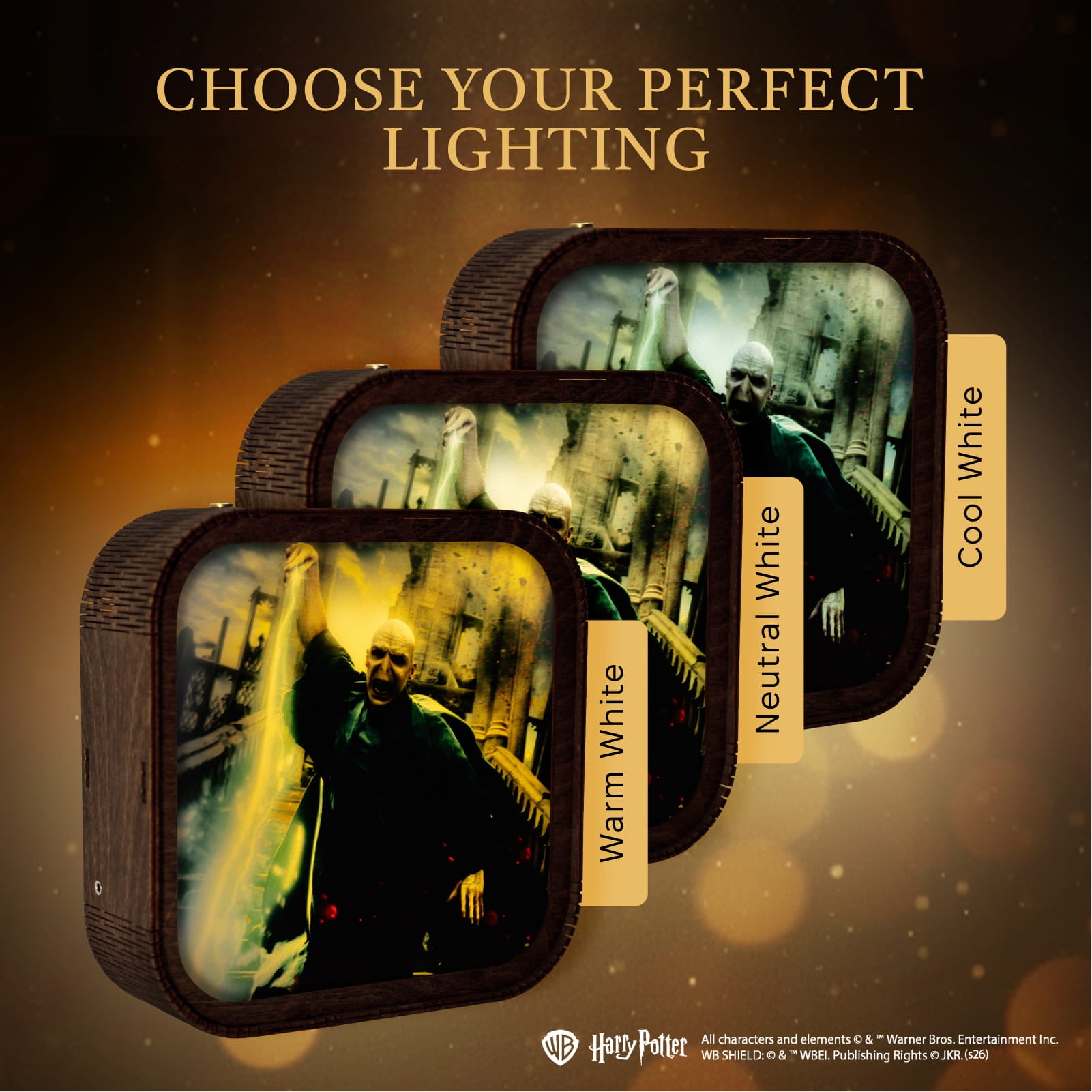 Wooden Acrylic Harry Potter Night Light - Forbidden Spell