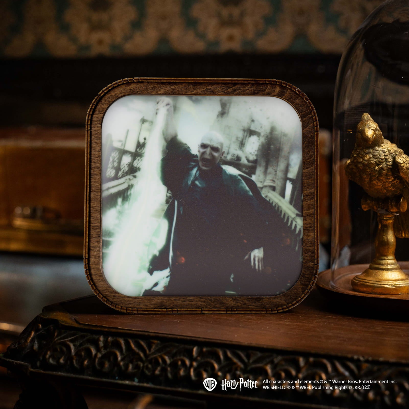 Wooden Acrylic Harry Potter Night Light - Forbidden Spell