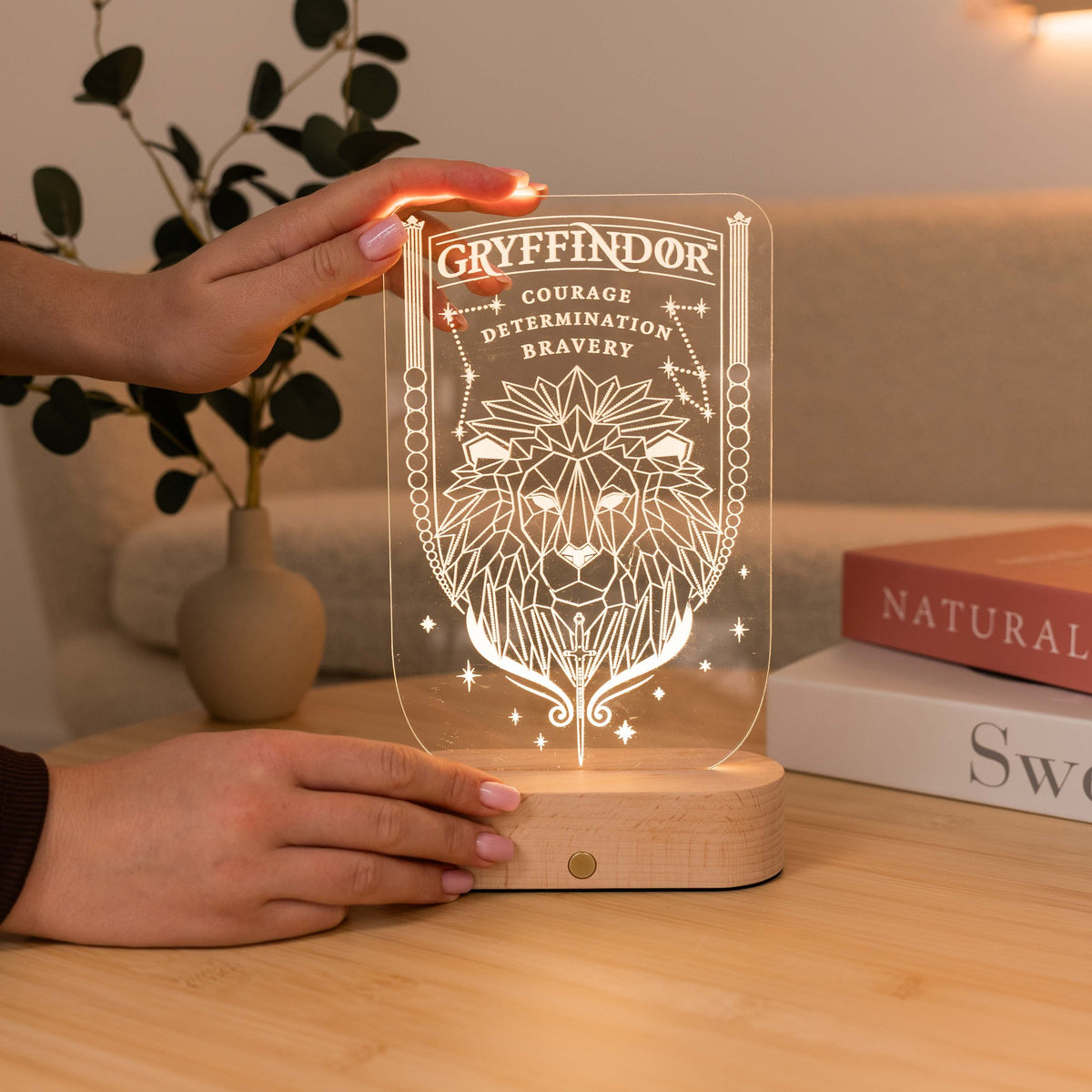 Acrylic Harry Potter Night Light - Lion of Gryffindor by Enjoy The Wood 