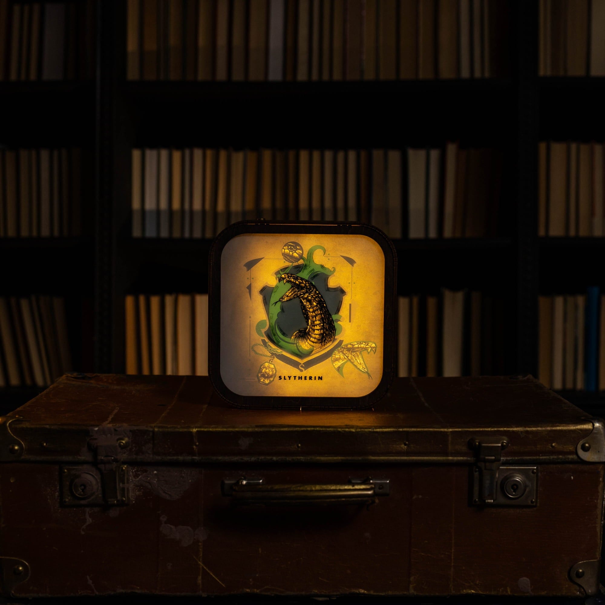 Wooden Acrylic Harry Potter Night Light - Serpent of Slytherin by Enjoy The Wood 