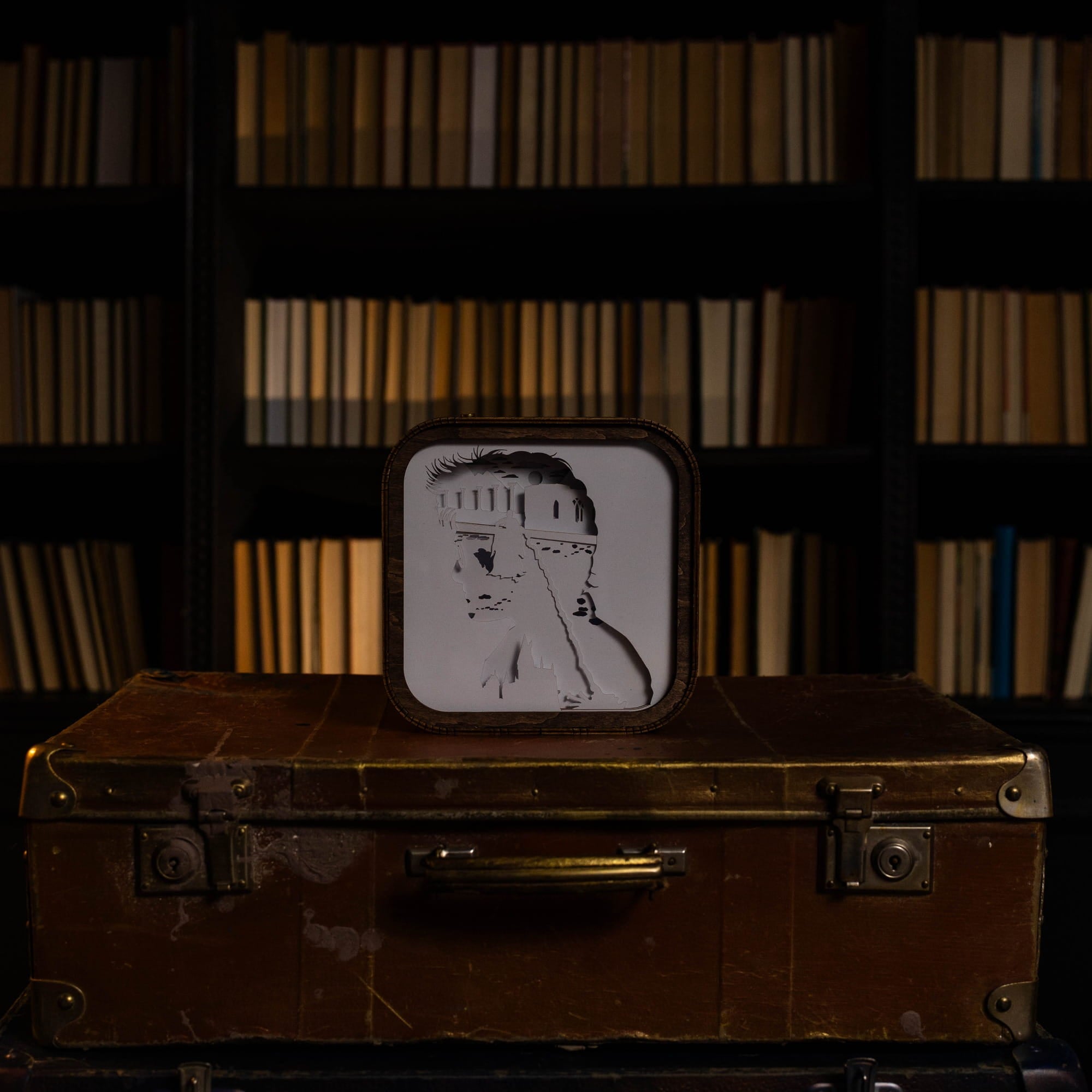 Vintage suitcase with a framed picture of a woman's face on a bookshelf background