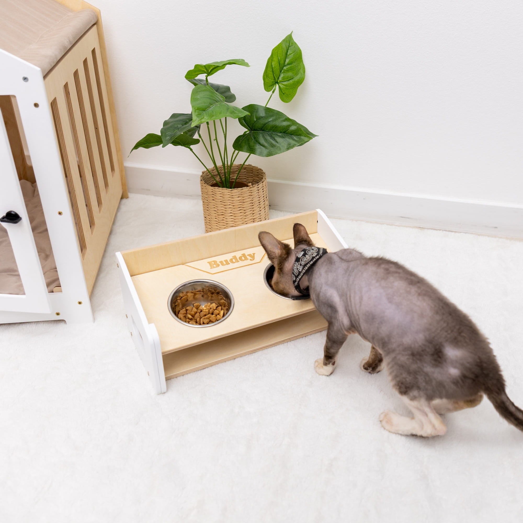 Pet Bowl Stand - Angled by Enjoy The Wood 