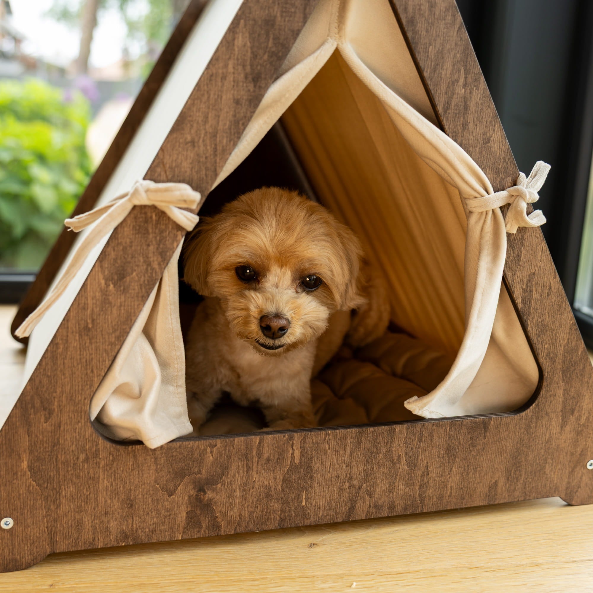 Dog peeking out from a wooden pet tent with a blurred outdoor background