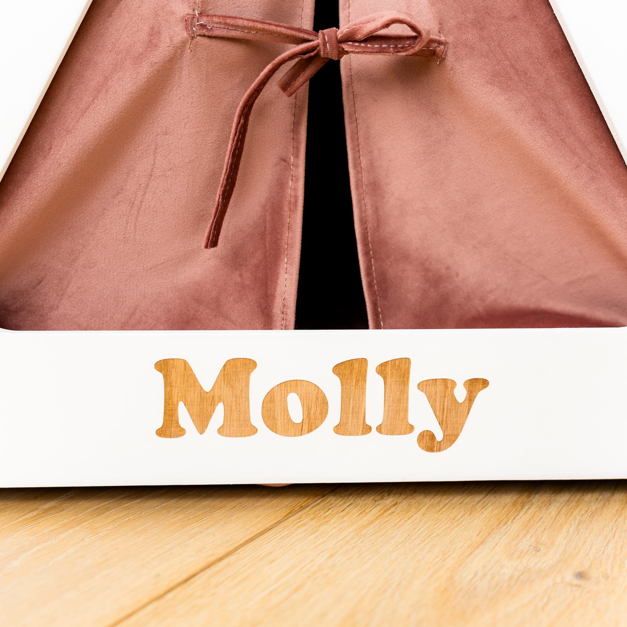 Brown leather bag with a bow on a white background with 'Molly' printed below.