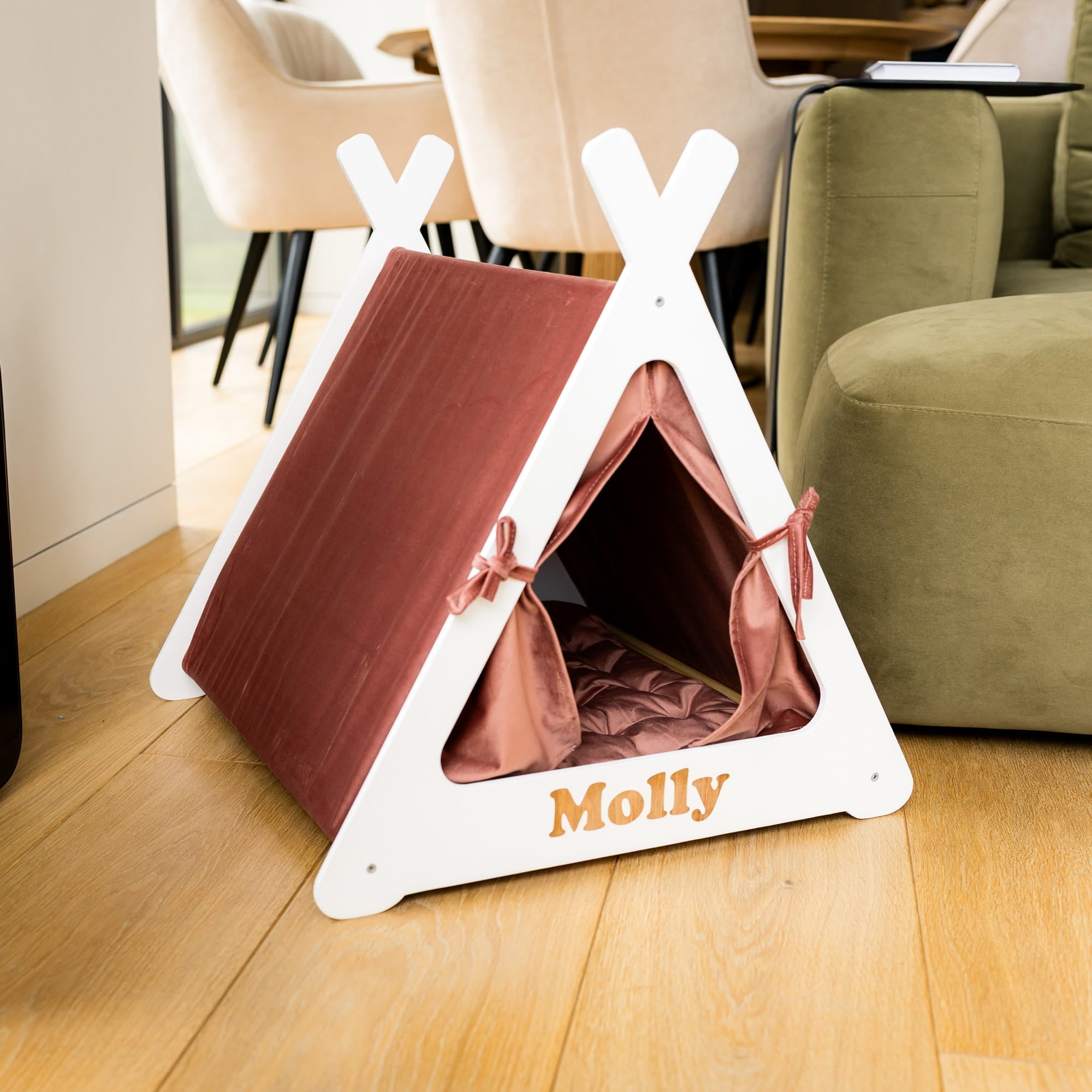 Pet tent with brown interior and white frame on a wooden floor, labeled 'Molly'.