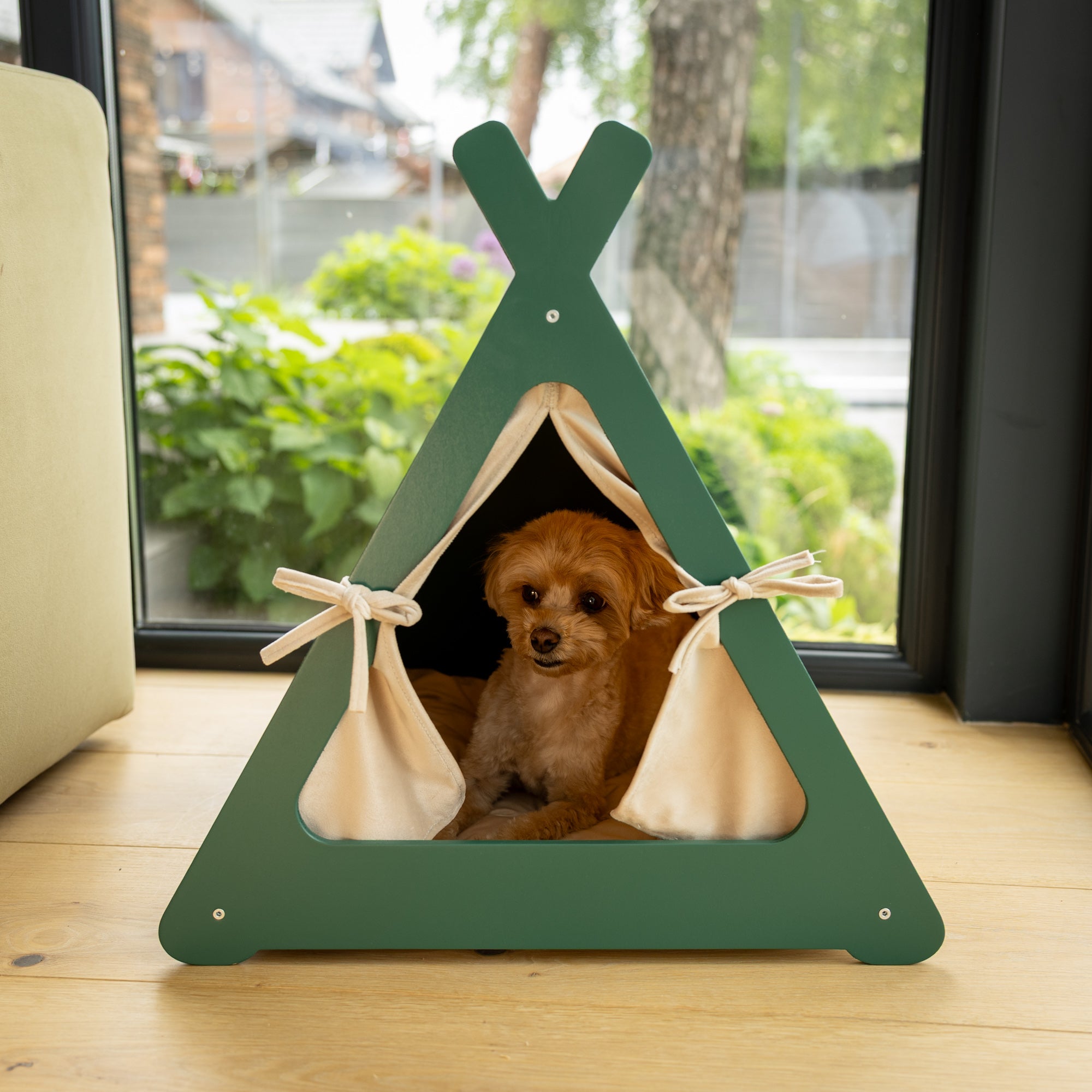 Green pet teepee with a dog peeking out, placed indoors near a window.