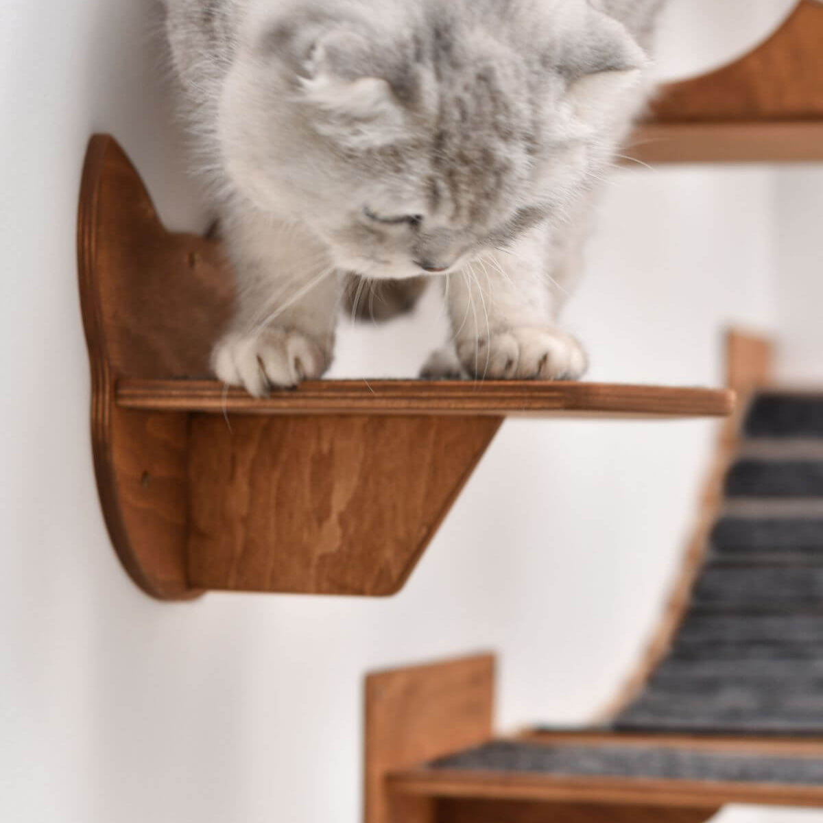 wall mounted cat steps