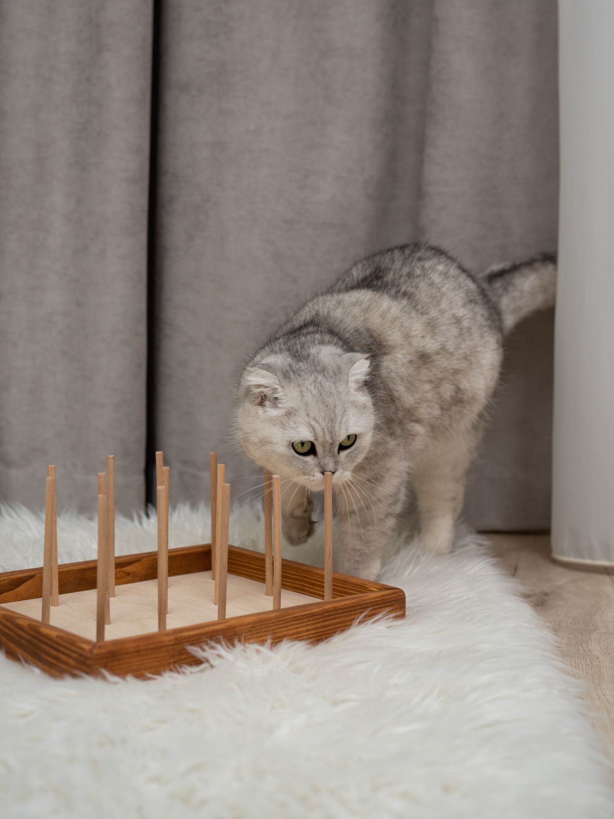 cat toy for biting made from wood
