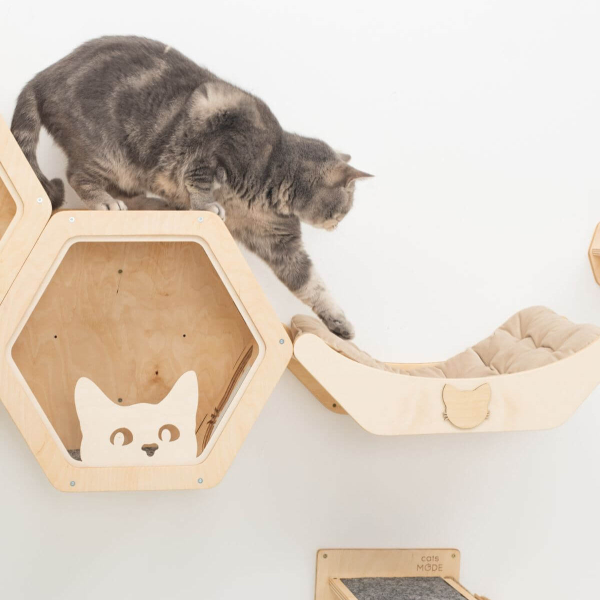 cat bed on wall
