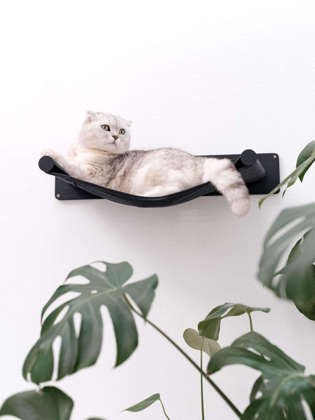 wall cat hammock