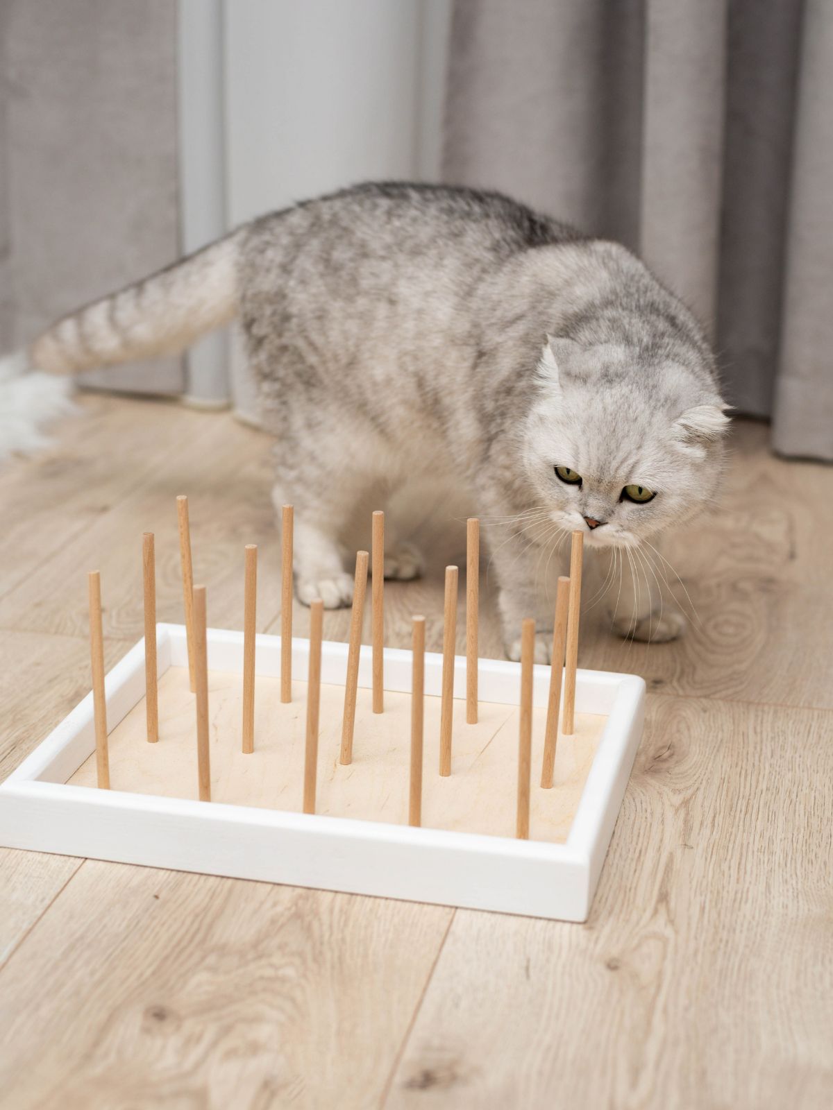 chew toy for cat