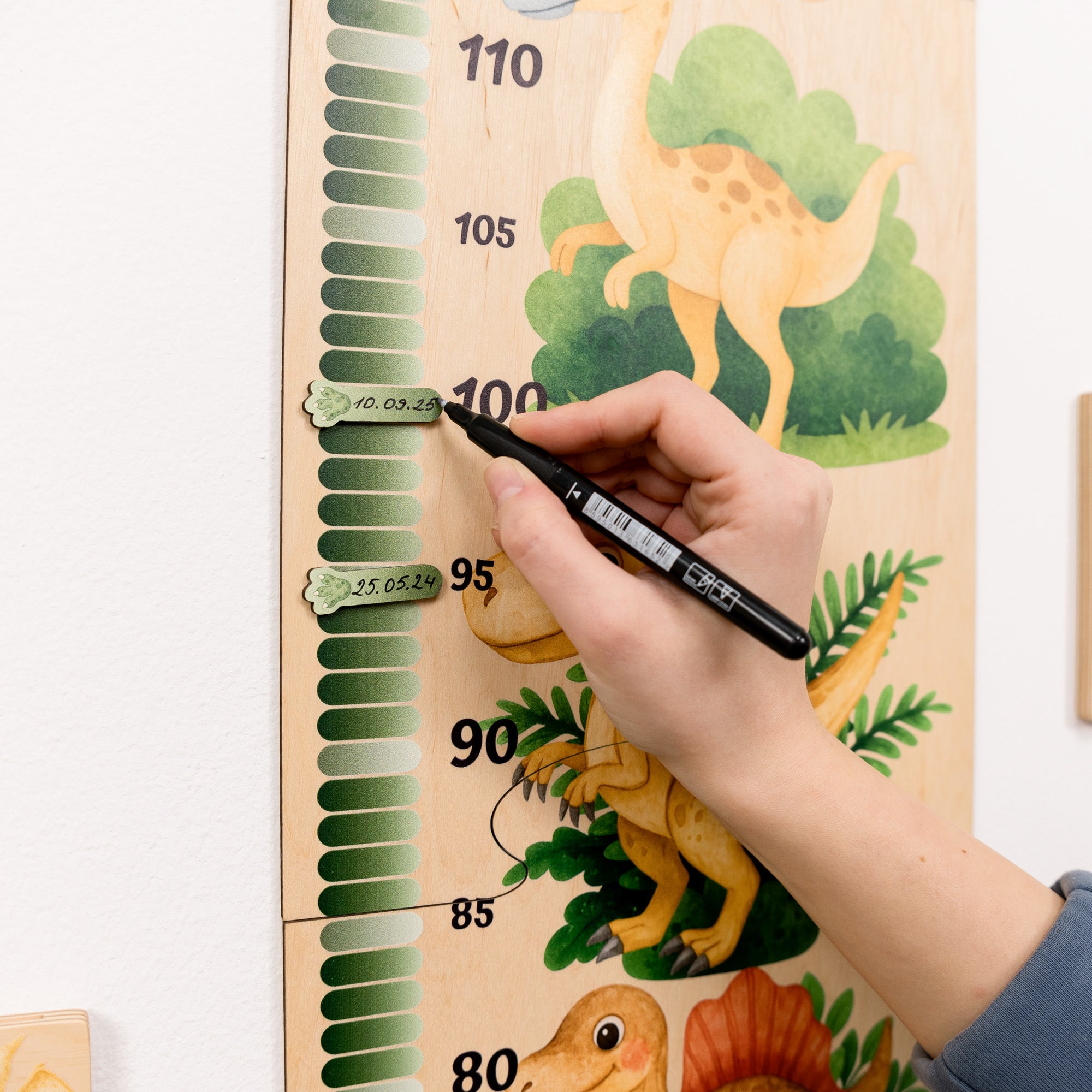 Child Growth Chart - Dino