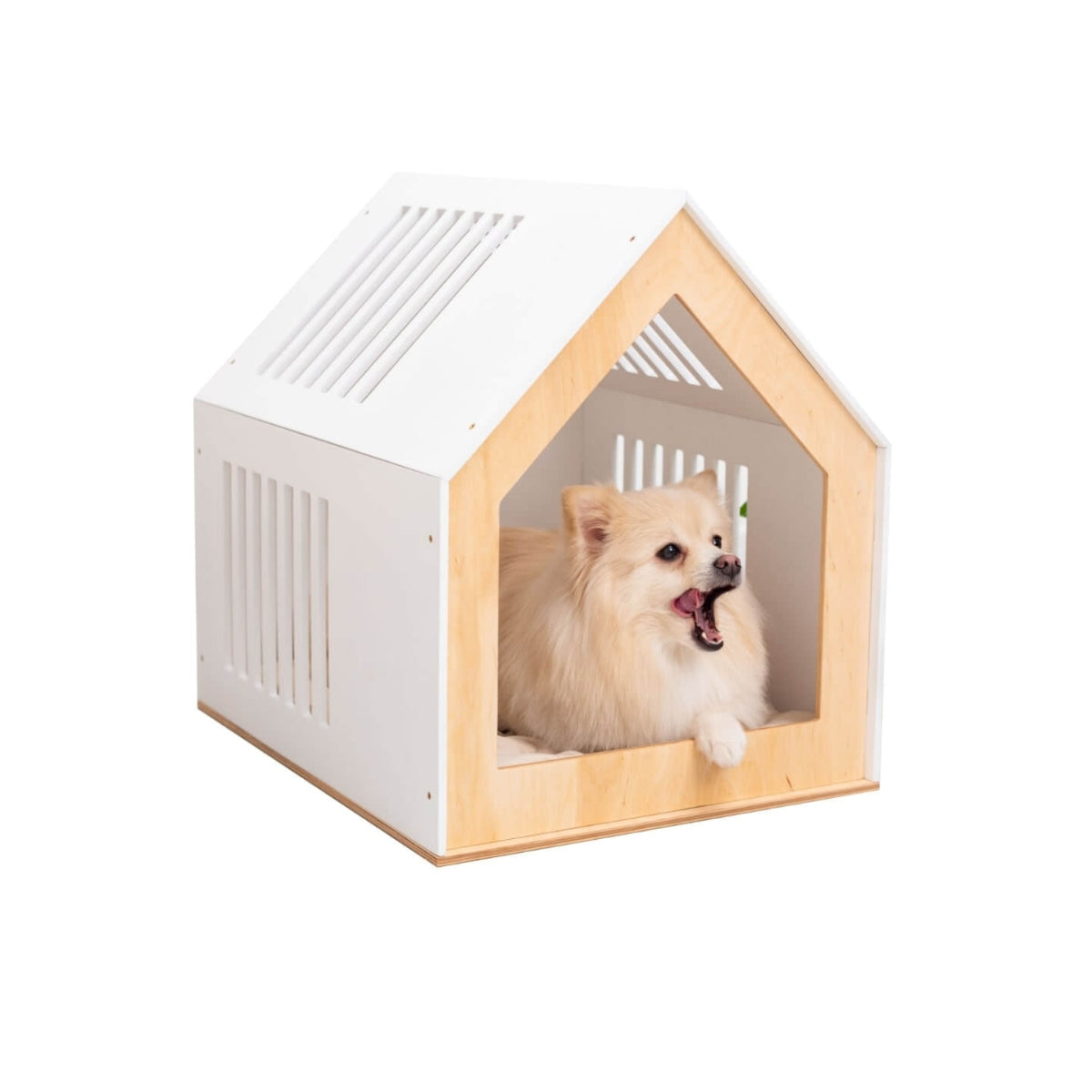 modern indoor dog house
