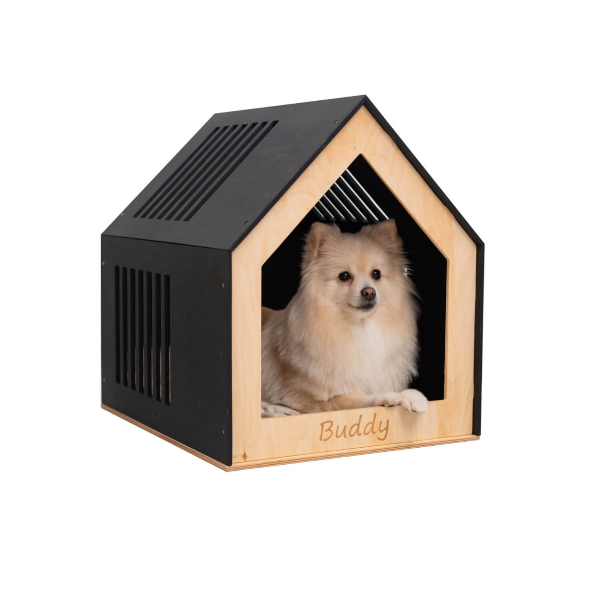 modern dog house indoor