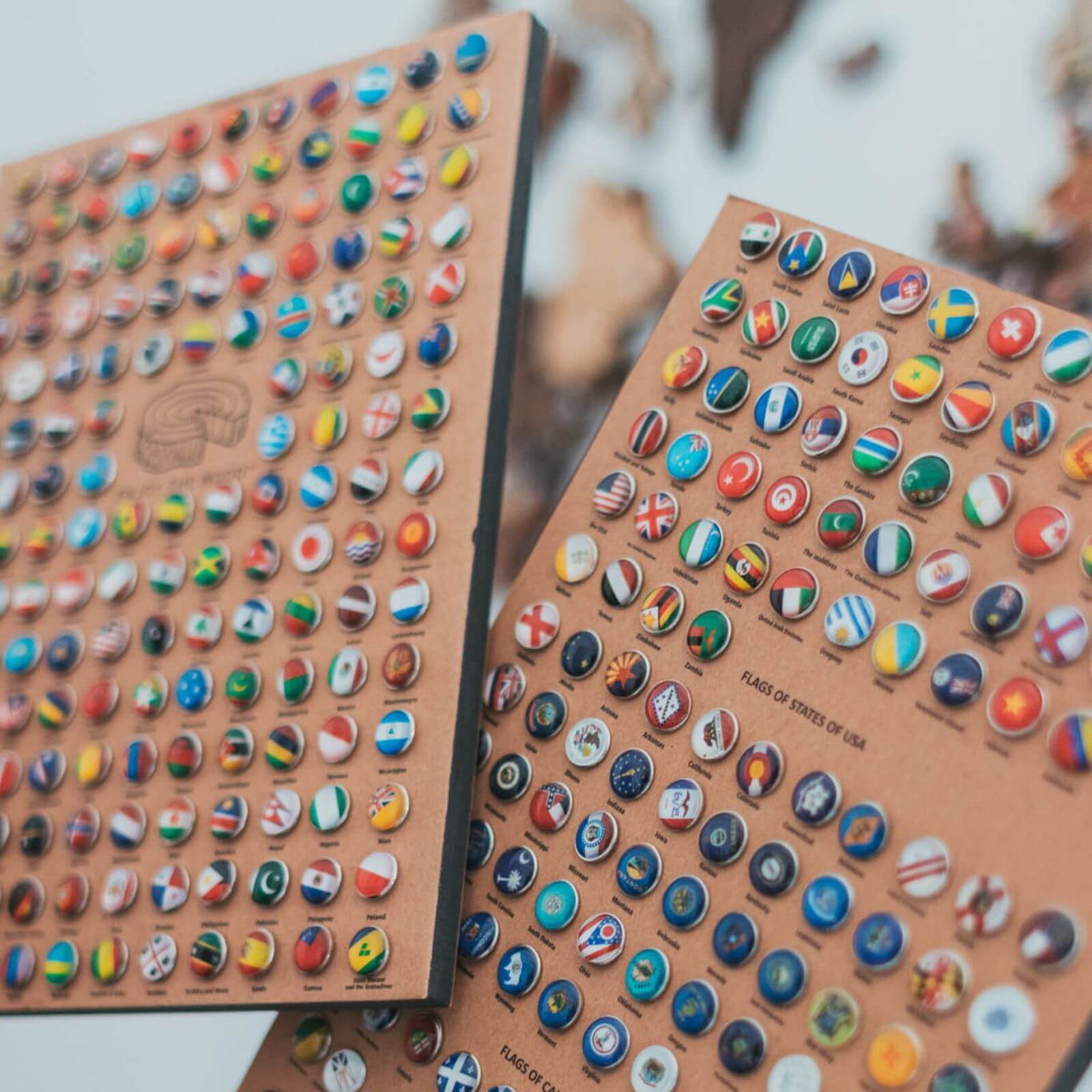Bundle: Colored Map and Flags Pins from Enjoy The Wood