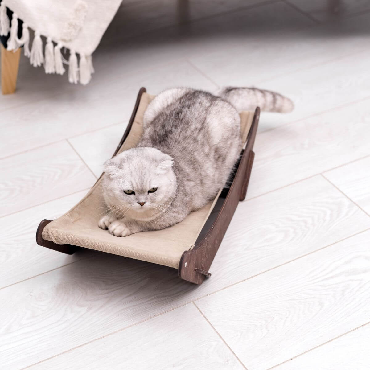 floor cat hammock