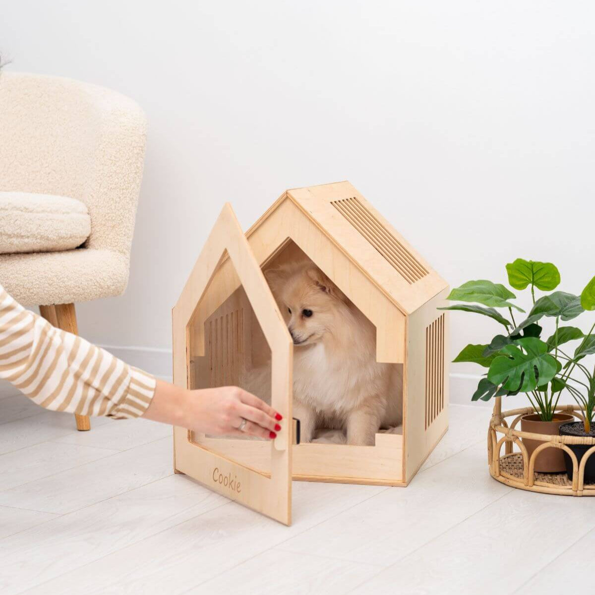 modern dog house indoor