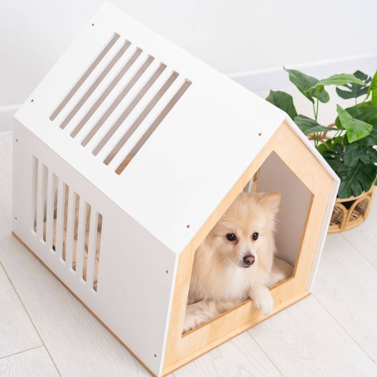modern dog house indoor