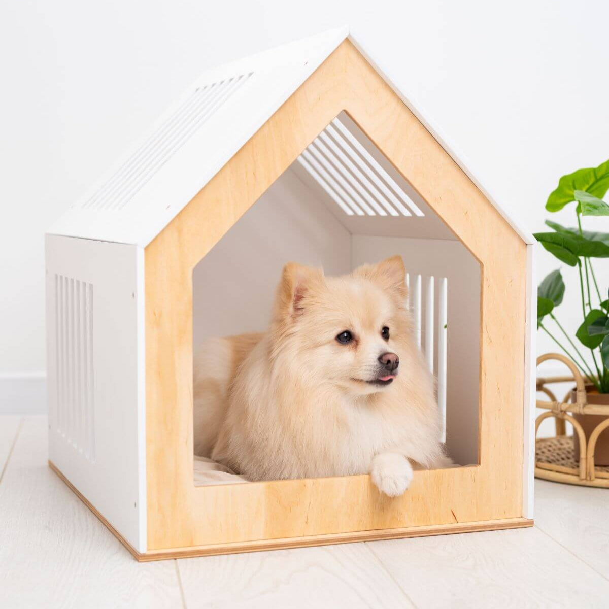 modern dog house indoor