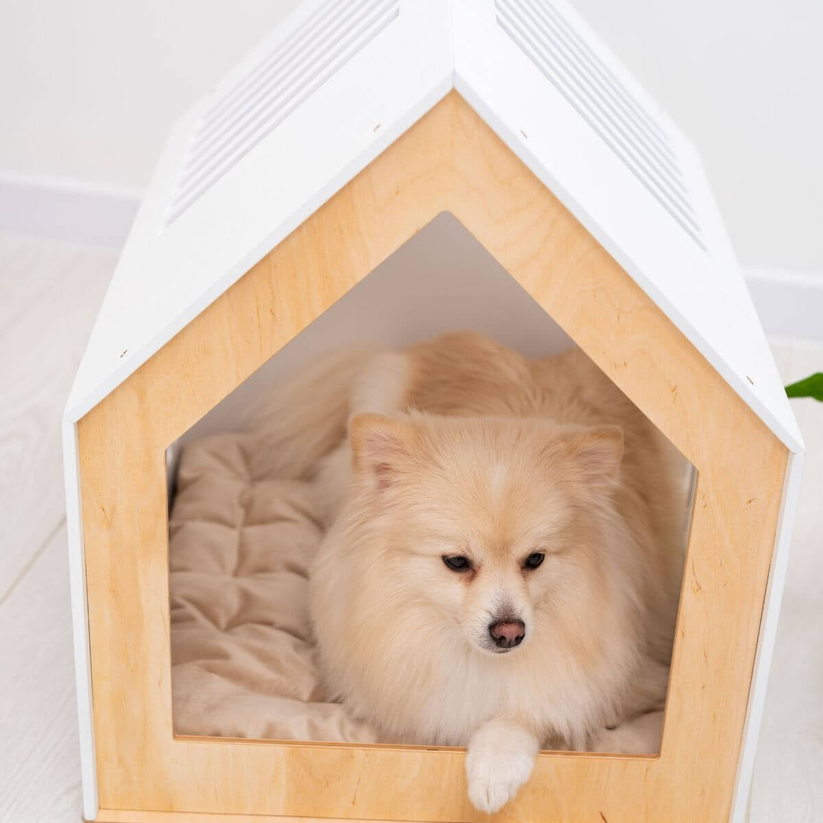 indoor modern dog house