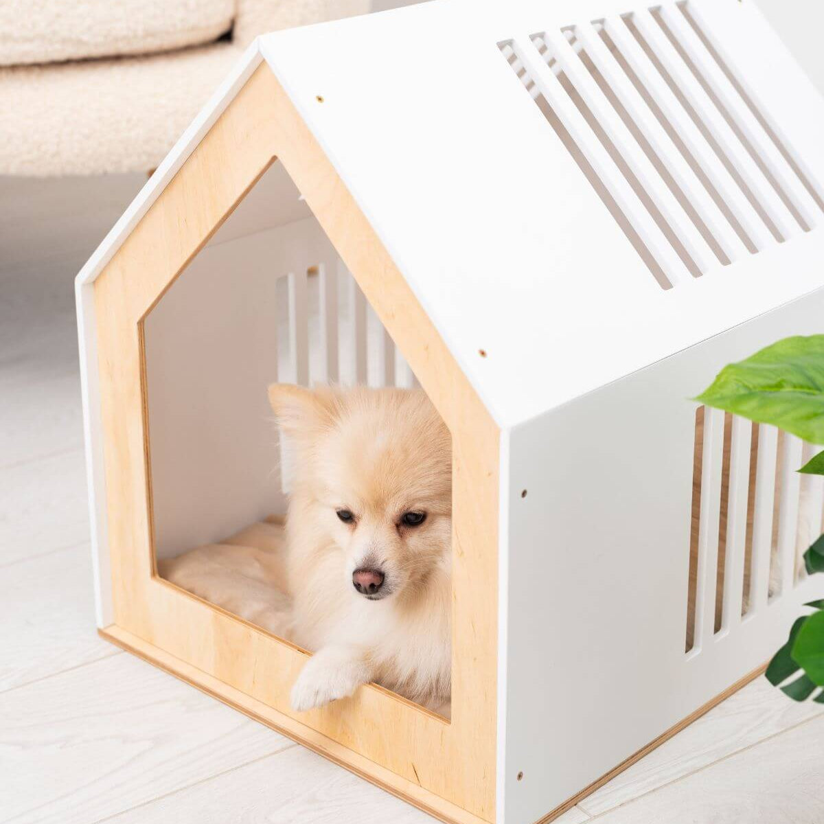 indoor modern dog house
