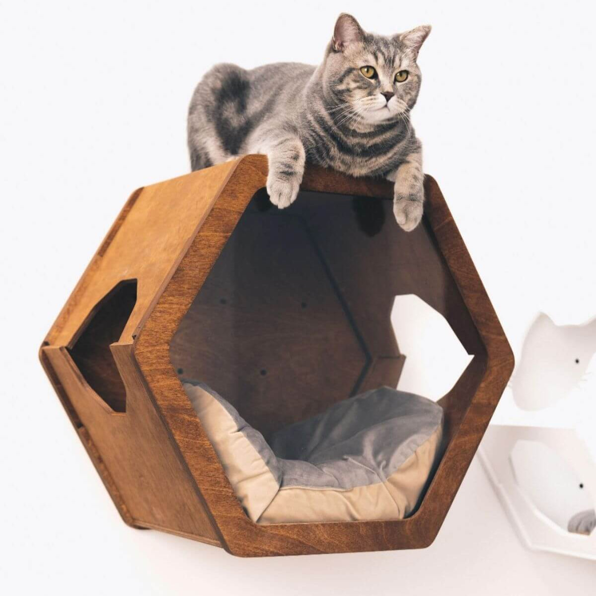 cat shelf pillow placed in cat wall shelves