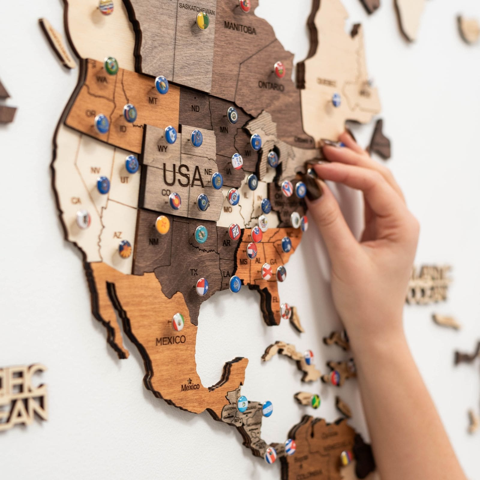 push pins flags for map