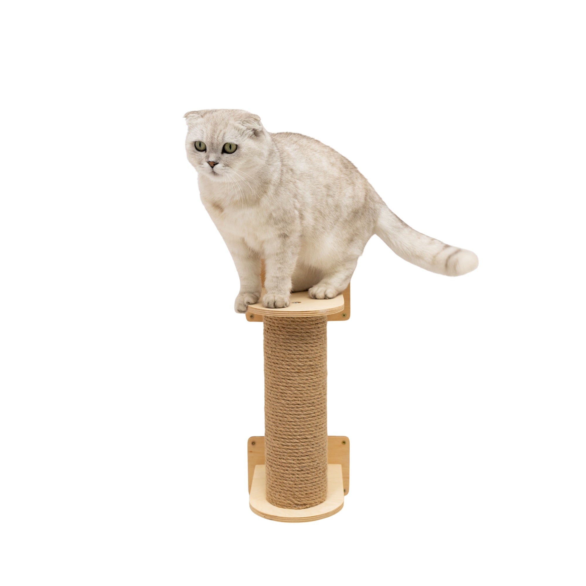 Small Cat Tree – Light