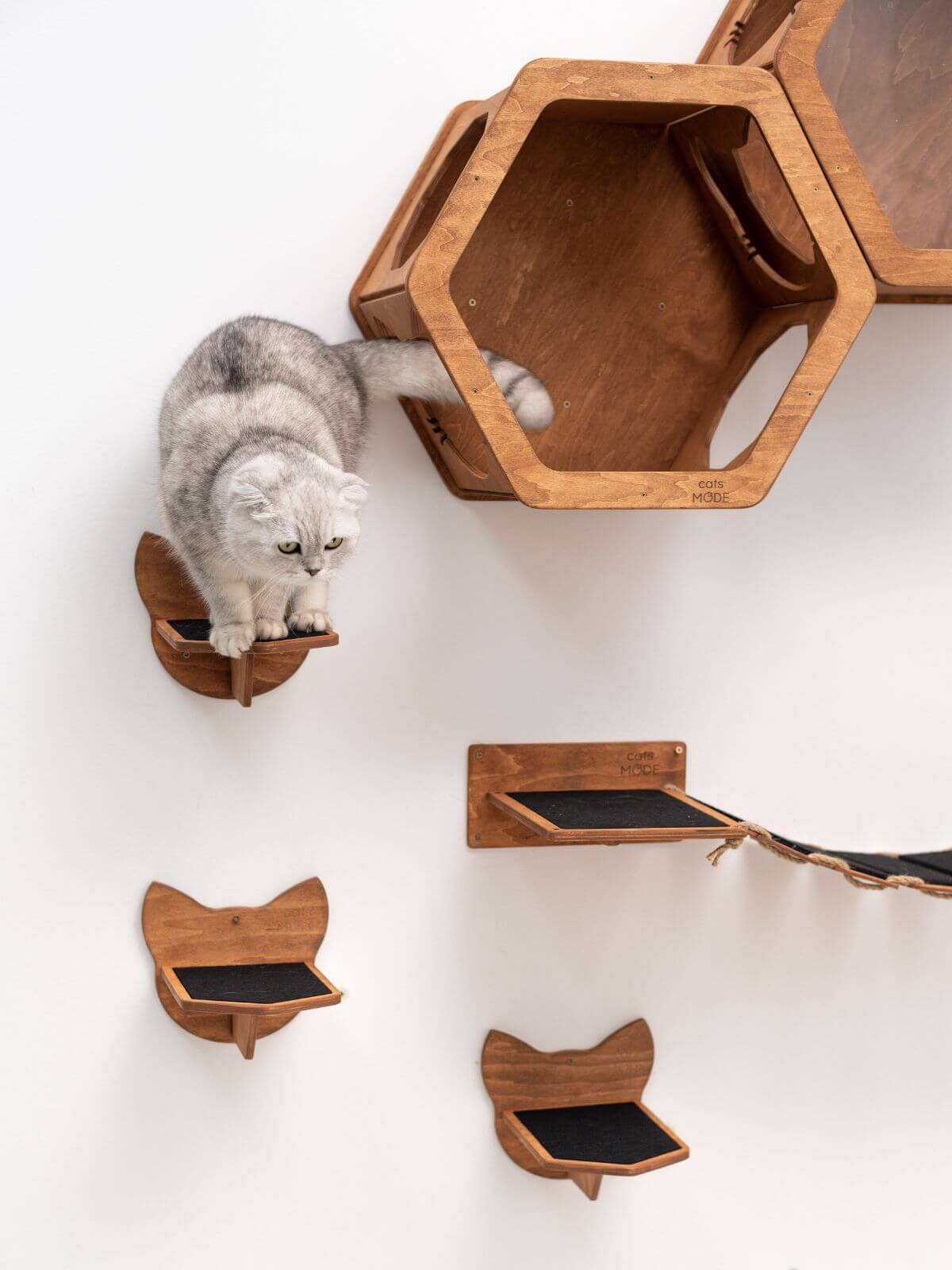 honeycomb cat shelves