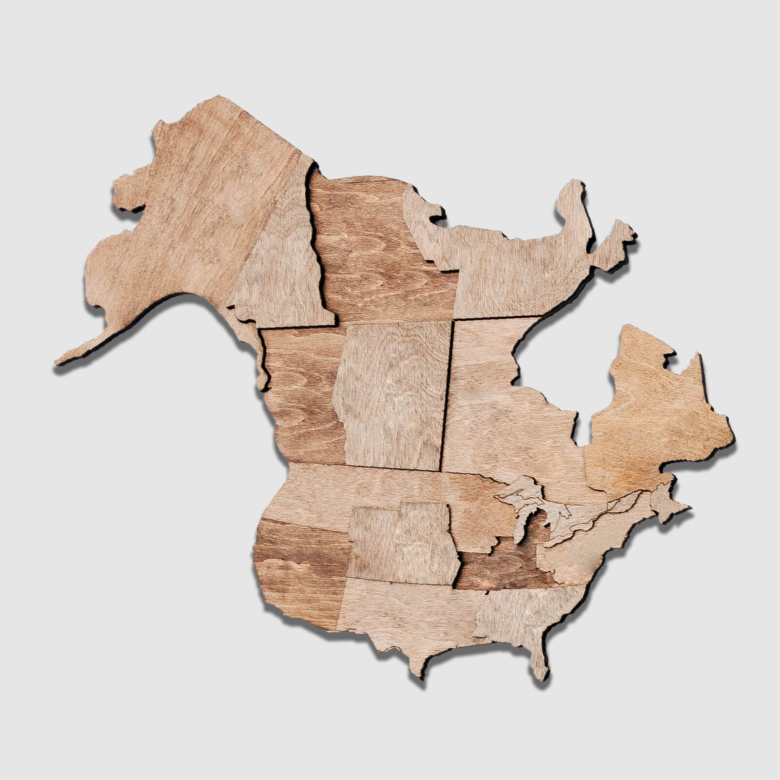 3D Wooden World Map Terra