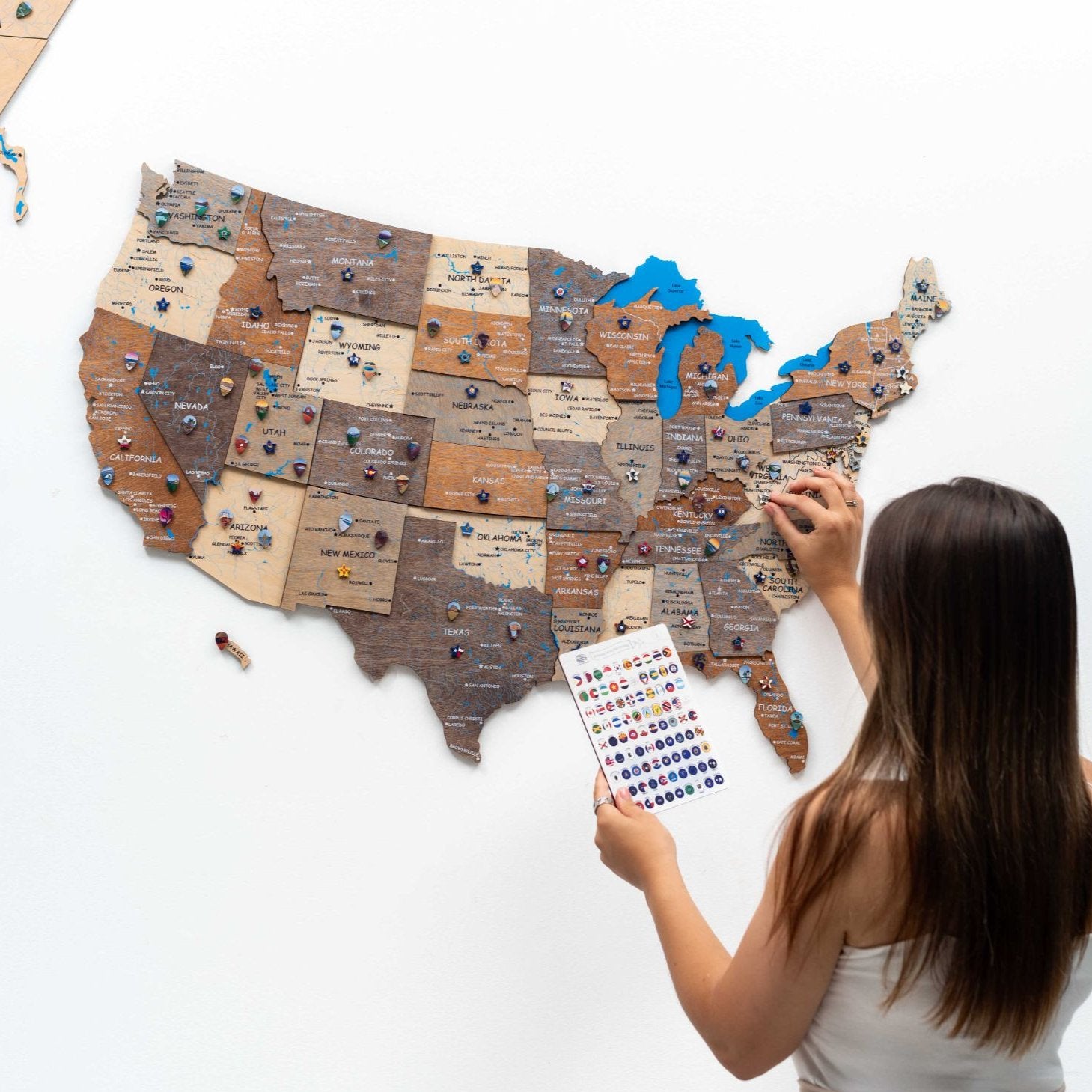 usa wall map with pins