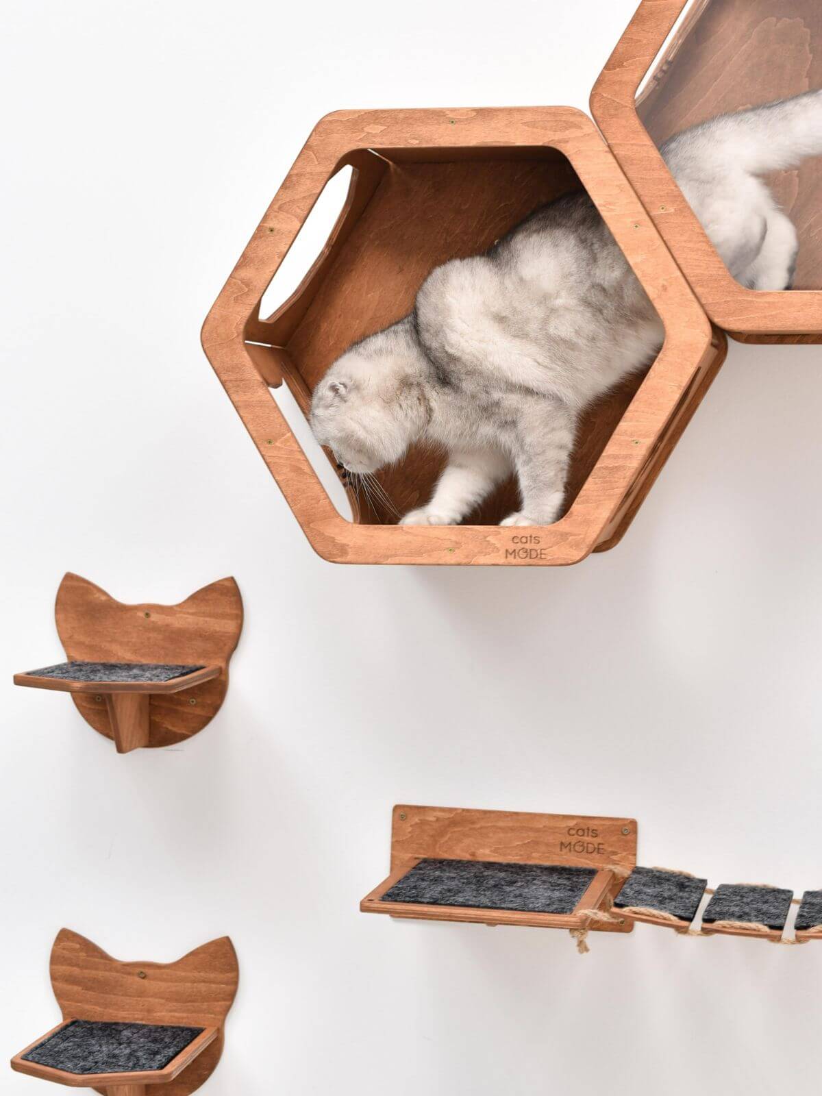 wall mounted cat stairs