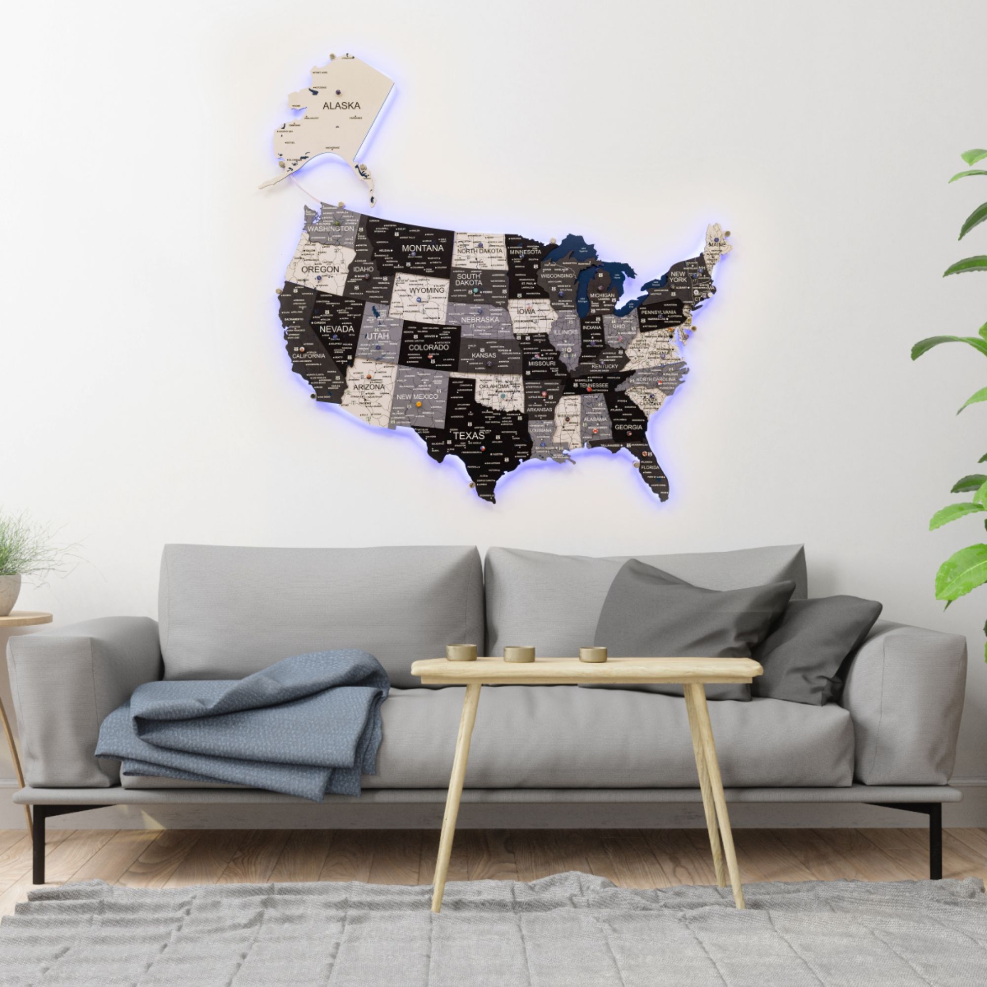 wall map of usa
