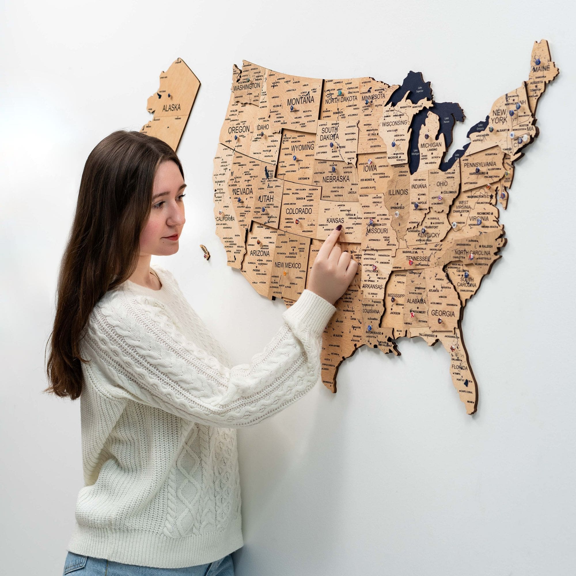 push pin usa wall map