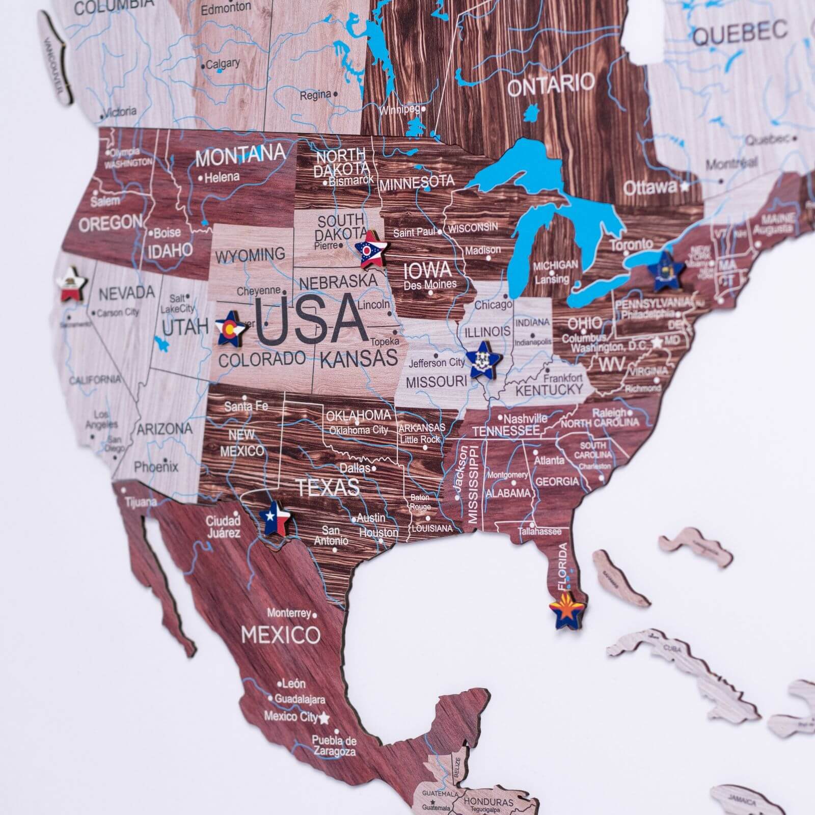 2D Wooden World Map Cappuccino from Enjoy The Wood